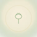 Baba borsel/ Baby brush