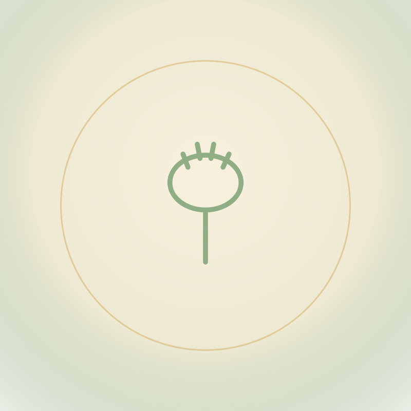 Baba borsel/ Baby brush
