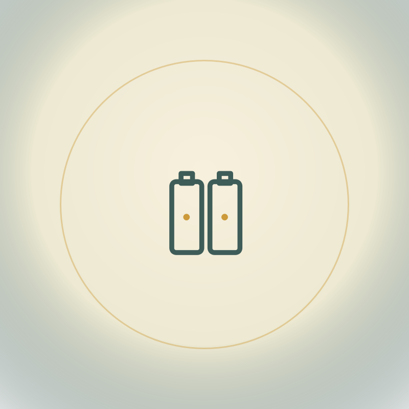 Batteries/Batterye