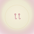 Earrings/Oorbelle