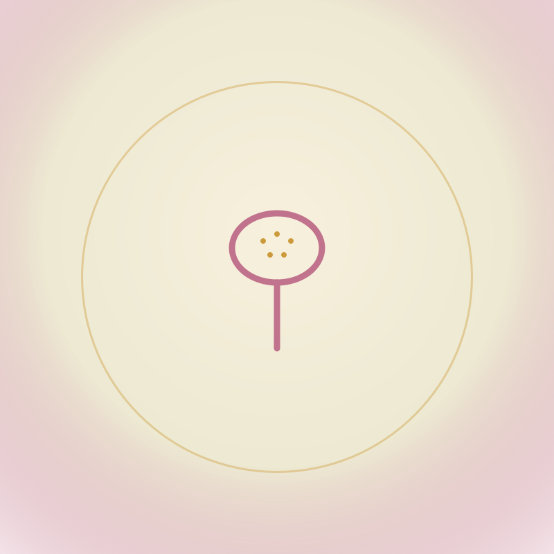 Hair Brush/Haarborsel
